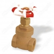 Brass Gate Valves