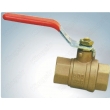 Ball Valve